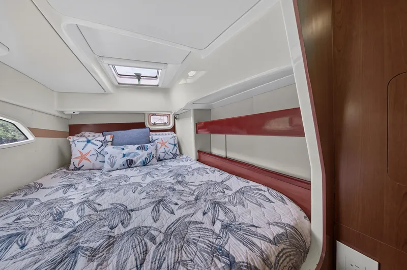 Slide: The Image of Leopard 38 2011 - 91