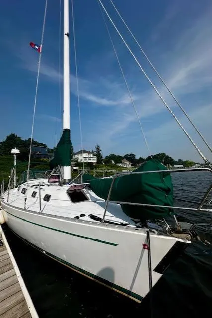 Slide: The Image of Sailboat Freedom 35, 1998 model, docked by a scenic waterfront. - 15