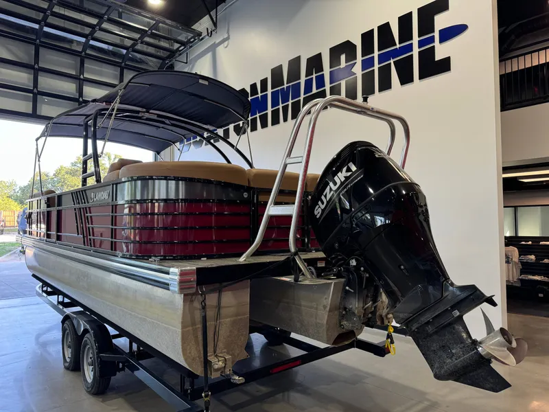 Slide: The Image of Landau Signature 2500 2024 - 5