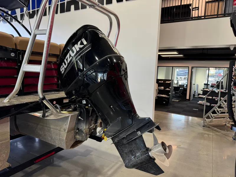 Slide: The Image of Landau Signature 2500 2024 - 6