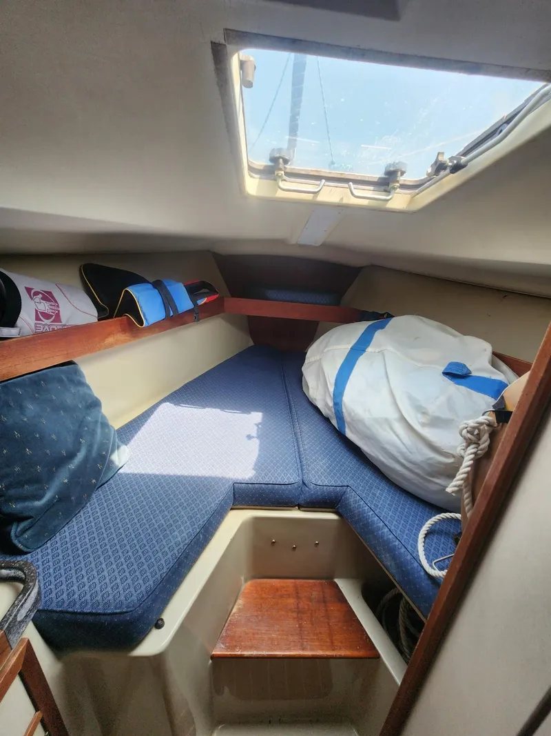 Slide: The Image of Cozy cabin interior of 1982 C&C 34 sailboat with blue cushions and skylight. - 23