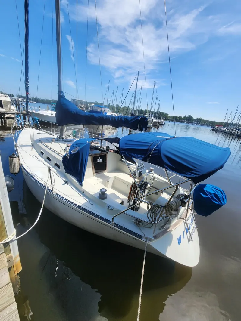 Slide: The Image of 1982 C&C 34 sailboat docked, featuring blue covers and clear sky background. - 4