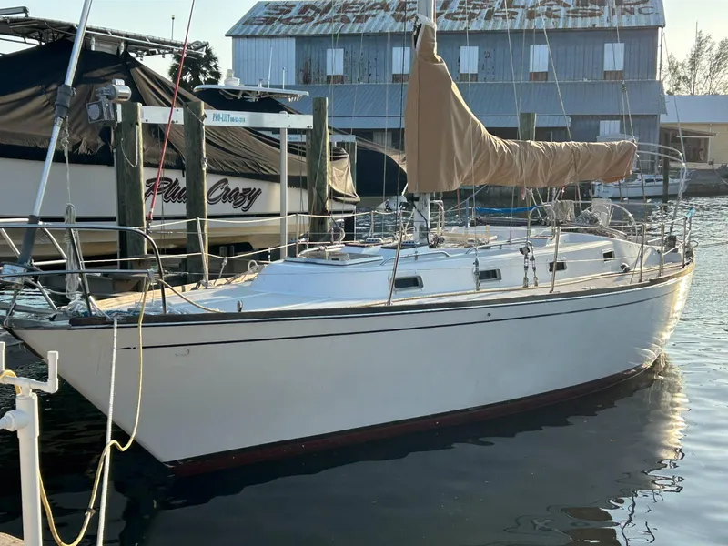 The Image of 1981 Tartan 37 sloop docked at marina, covered mainsail, calm water. - 0