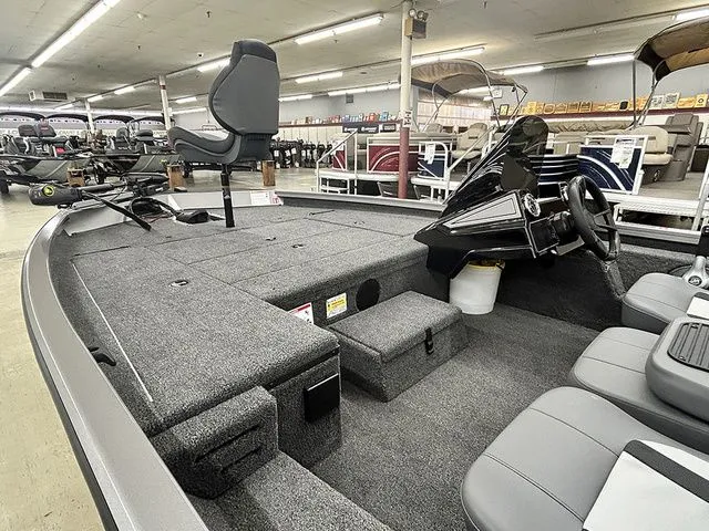 Slide: The Image of Lowe Stinger 175C 2026 - 4