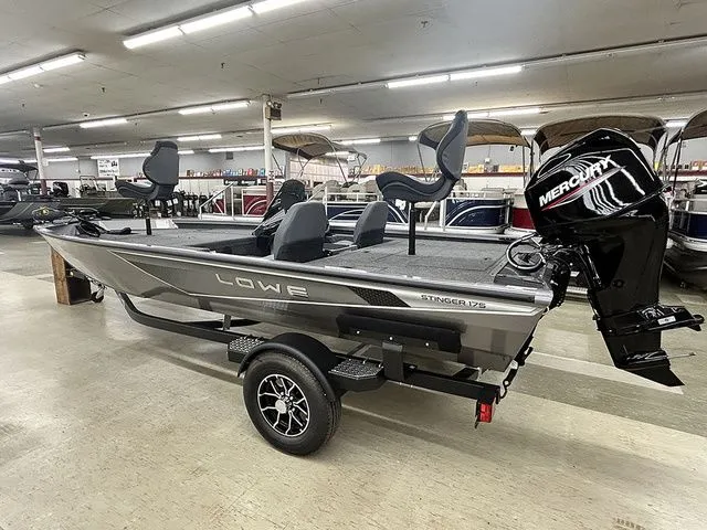 Slide: The Image of Lowe Stinger 175C 2026 - 5