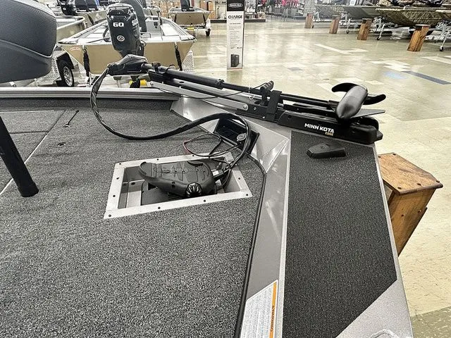 Slide: The Image of Lowe Stinger 175C 2026 - 9