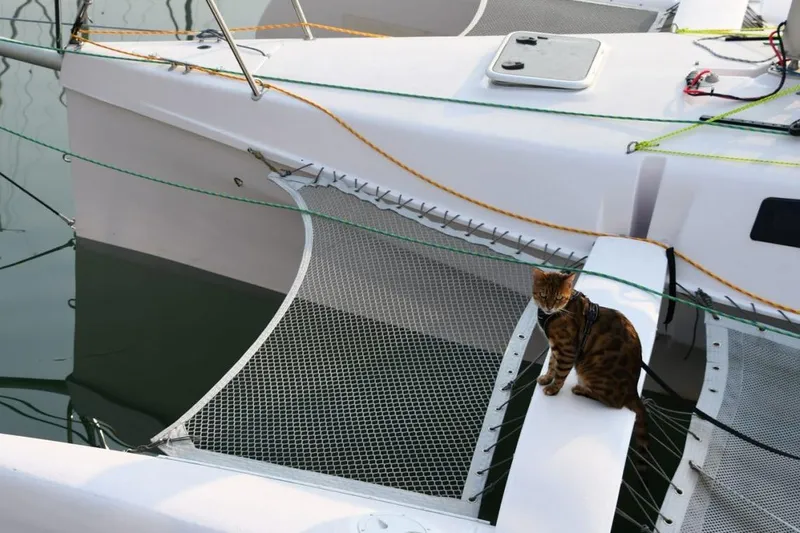 Slide: The Image of Cat sitting on Corsair 760 Dash trimaran, 2018 model, docked at marina. - 17