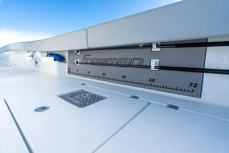 Slide: The Image of Freeman 43 2023 - 53