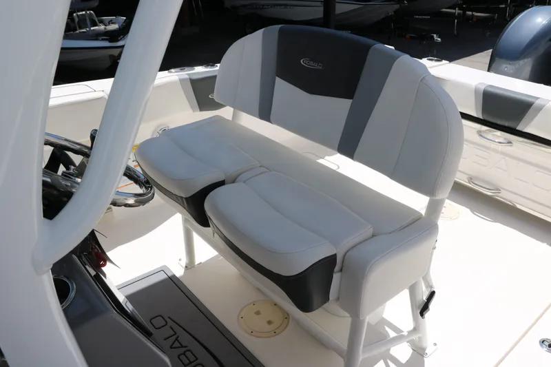 Slide: The Image of Robalo R250 Center Console 2023 - 35