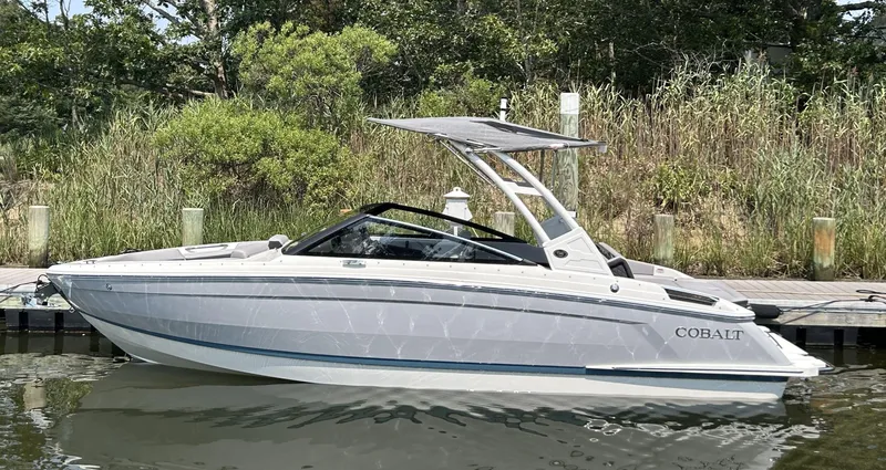 The Image of 2026 Cobalt R4 boat docked by lush greenery. - 0