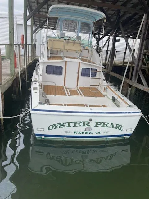 Slide: The Image of Bertram 28 Flybridge Stern View - 2