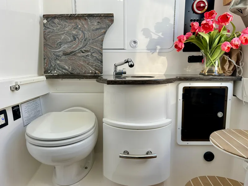 Slide: The Image of Head - 30