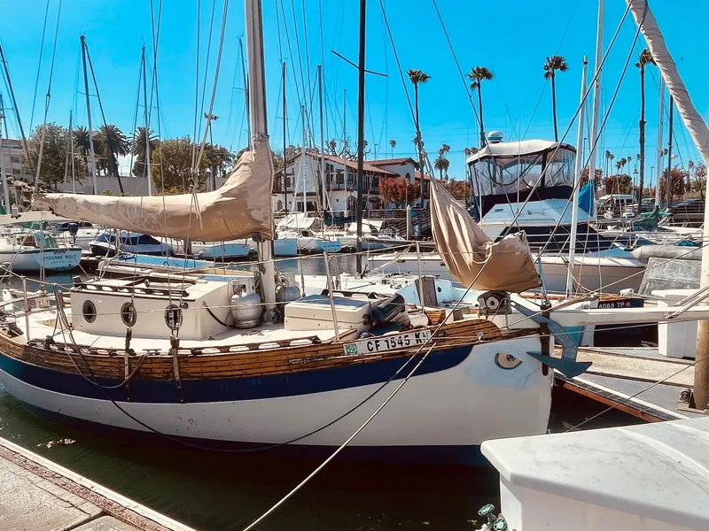 The Image of Falmouth sloop sailboat docked in marina, sunny day, palm trees in background. - 1