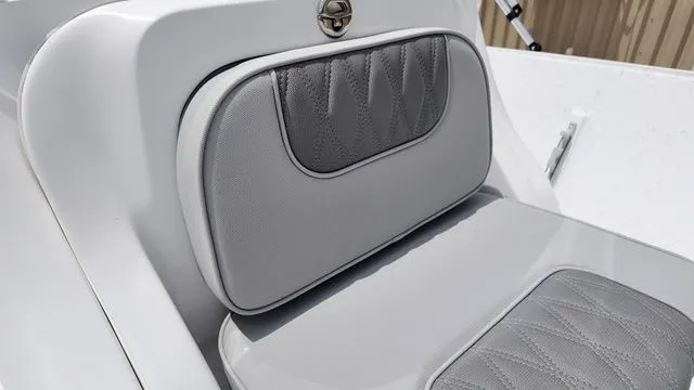 Slide: The Image of ALK2 18CRS 2026 - 19