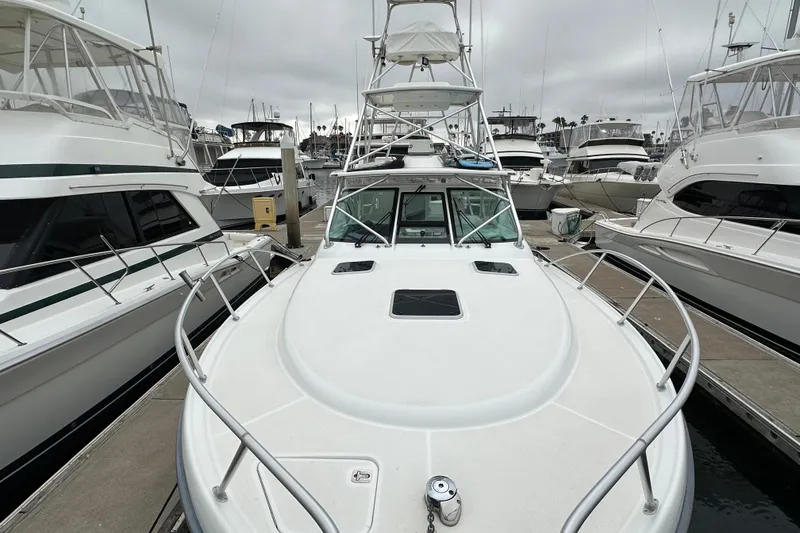 Slide: The Image of 2007 Tiara Yachts 3600 docked among other boats in a marina. - 4
