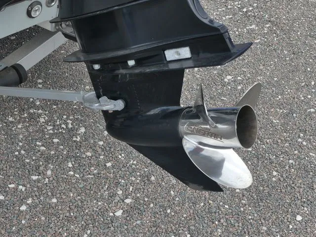 Slide: The Image of Mako 19 CPX 2019 - 11