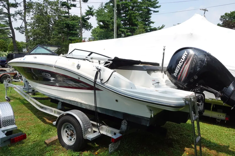 The Image of 2016 Sea Ray SPX 190 Outboard boat on trailer, featuring Mercury engine, parked on grass. - 0