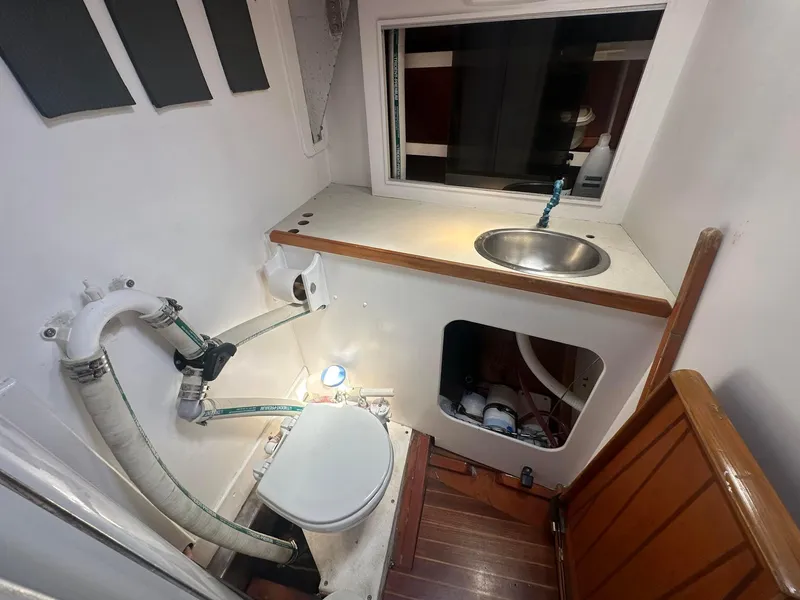 Slide: The Image of Enclosed Head - 26