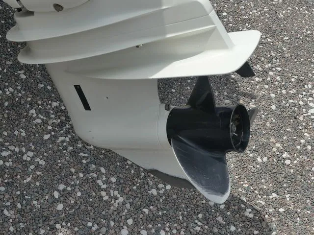 Slide: The Image of Stingray 191 DC 2020 - 12