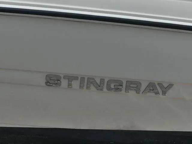 Slide: The Image of Stingray 191 DC 2020 - 8