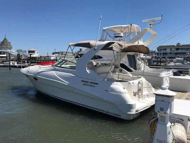 The Image of Cruisers 3175 Rogue 1995 - 0