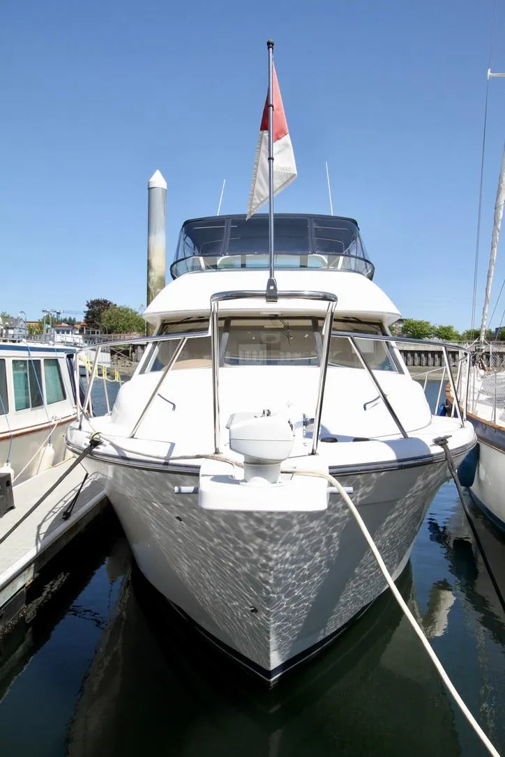 Slide: The Image of 2002 Bayliner 3988 yacht docked at marina, front view with clear blue sky. - 5