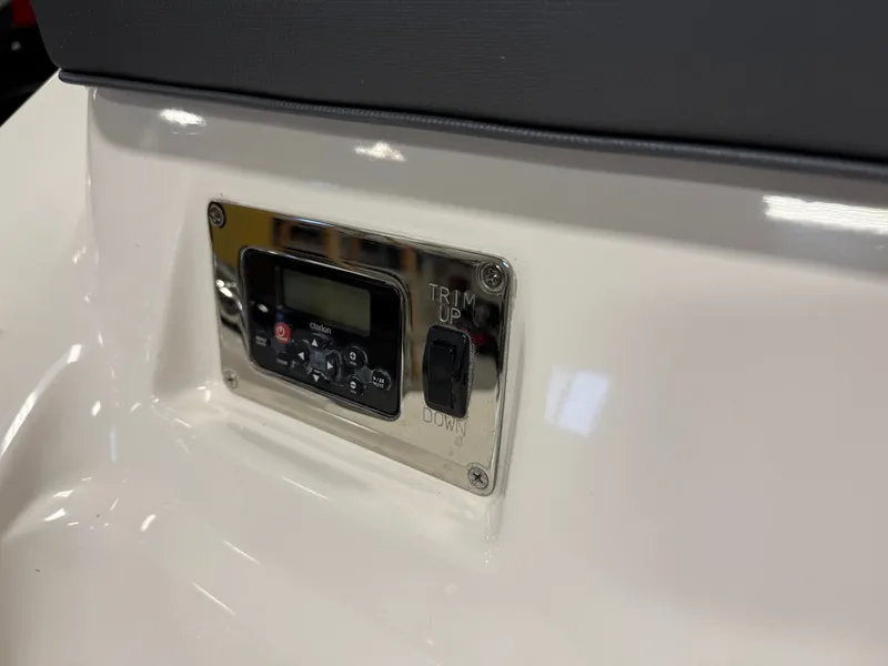 Slide: The Image of Chaparral 246 2019 - 13