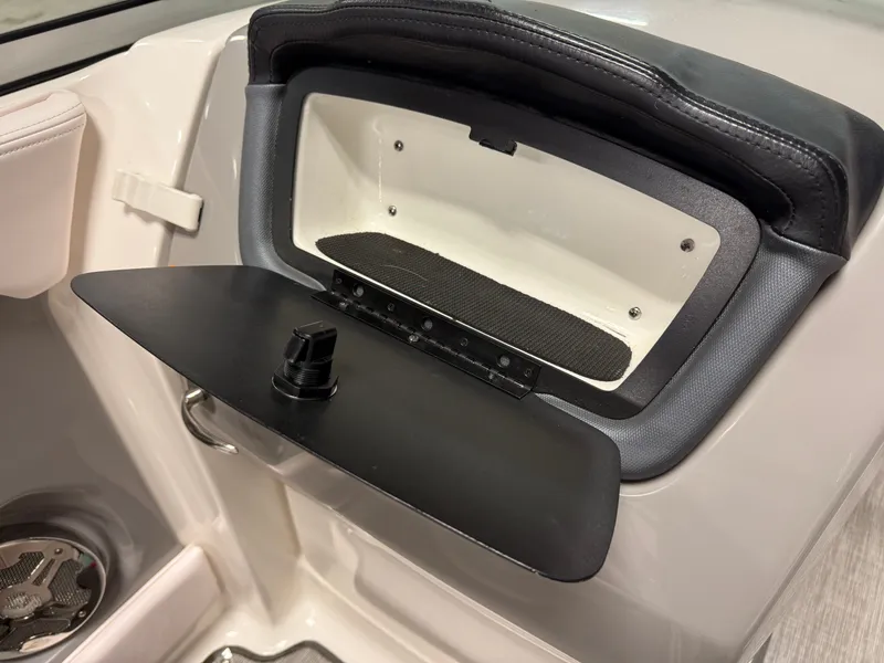 Slide: The Image of Chaparral 246 2019 - 37