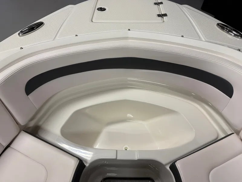 Slide: The Image of Chaparral 246 2019 - 58