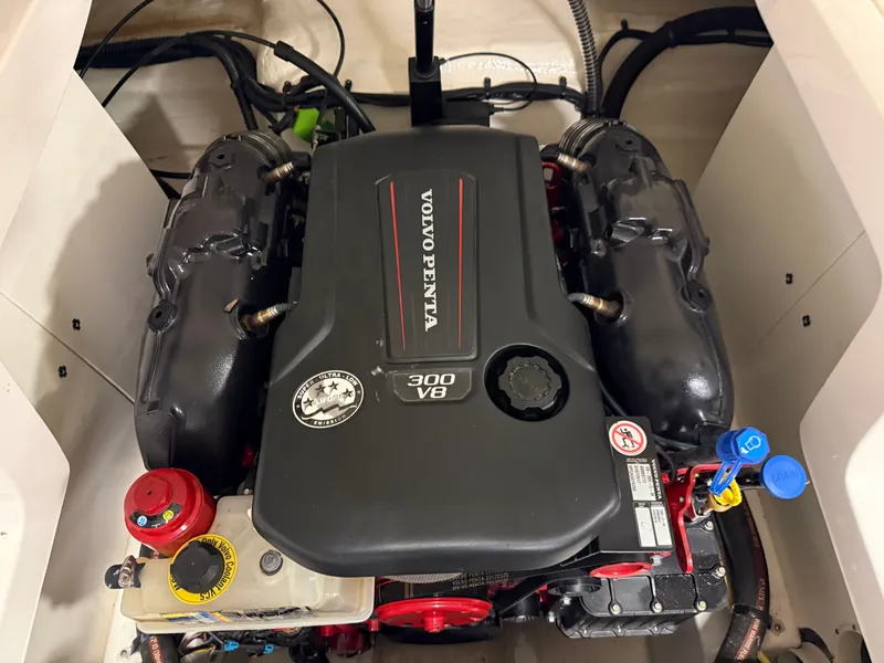 Slide: The Image of Chaparral 246 2019 - 70