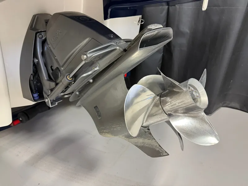 Slide: The Image of Chaparral 246 2019 - 9