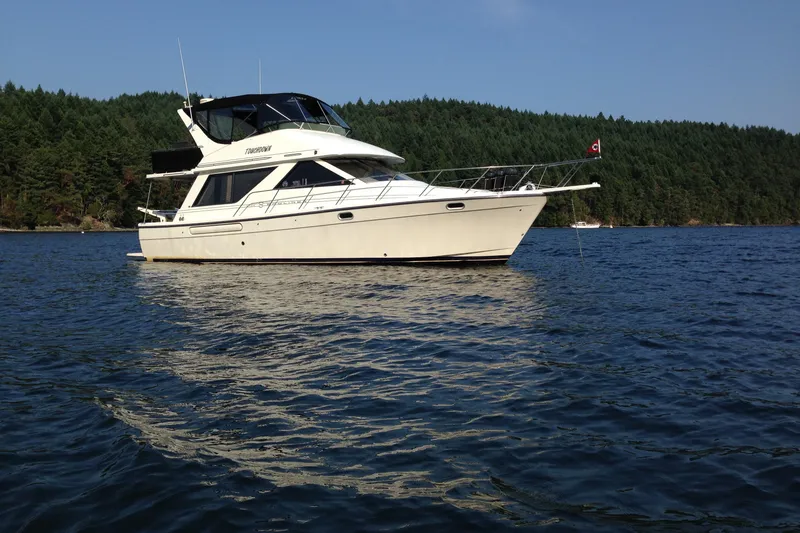 The Image of 2000 Bayliner 3988 Command Bridge Motoryacht on serene lake with forested backdrop. - 0