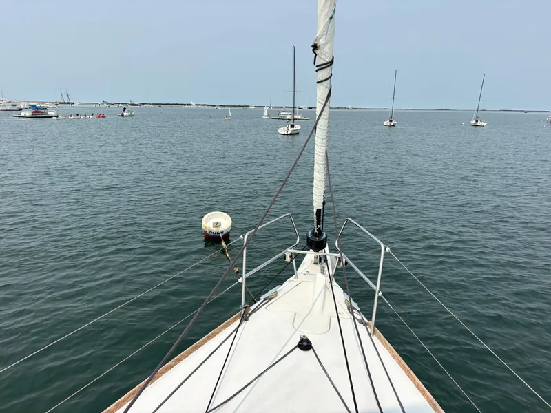 Slide: The Image of Jeanneau Sun Odyssey 419 2019 - 54