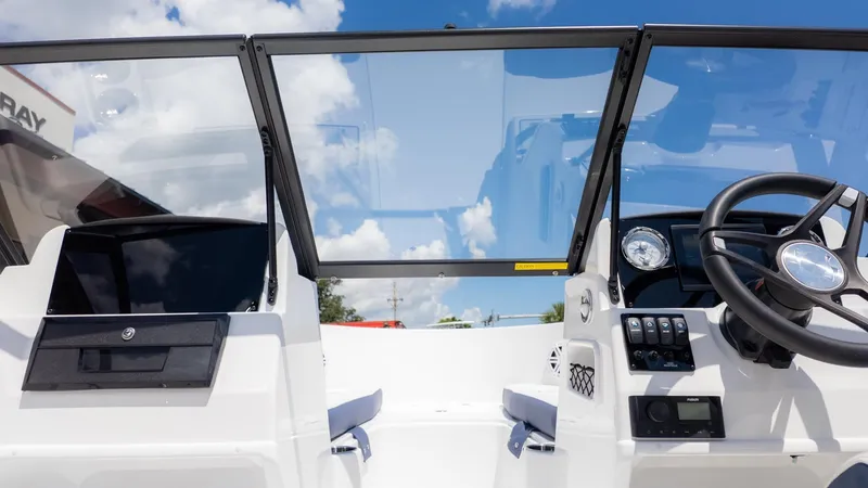 Slide: The Image of Stingray 172 DC 2026 - 14