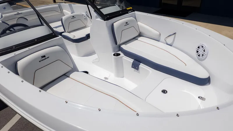 Slide: The Image of Stingray 172 DC 2026 - 15