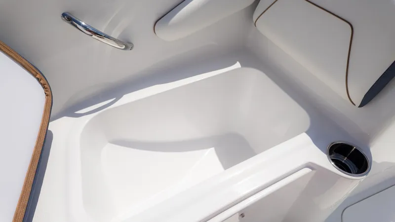 Slide: The Image of Stingray 172 DC 2026 - 17