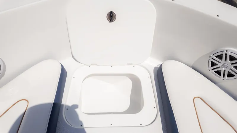 Slide: The Image of Stingray 172 DC 2026 - 18