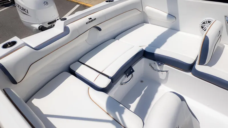 Slide: The Image of Stingray 172 DC 2026 - 7