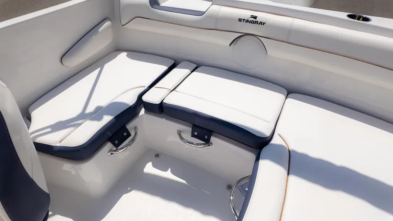 Slide: The Image of Stingray 172 DC 2026 - 8