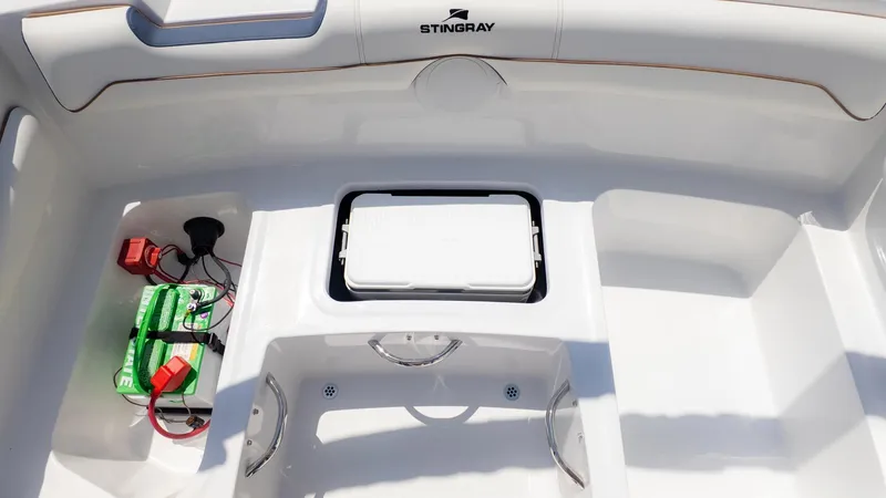 Slide: The Image of Stingray 172 DC 2026 - 9