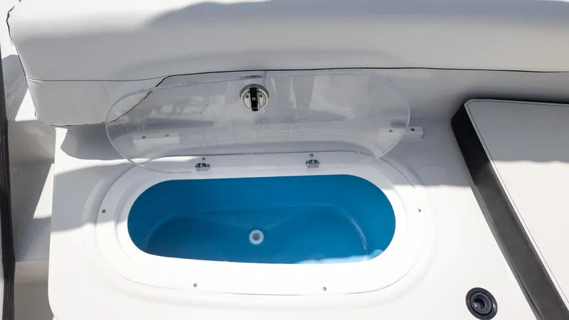 Slide: The Image of Stingray 192 SC 2026 - 6