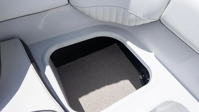 Slide: The Image of Stingray 192 SC 2026 - 7