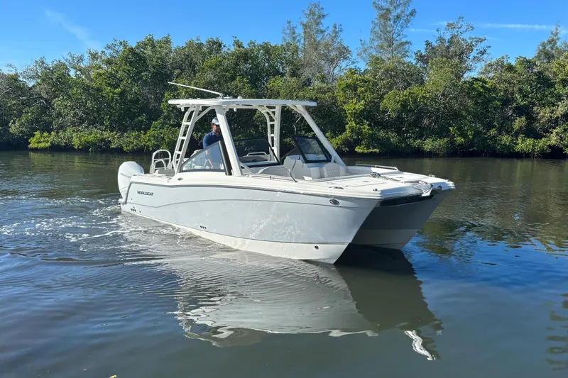 Slide: The Image of 2026 World Cat 265 DC-X boat cruising on a calm river with lush greenery. - 3