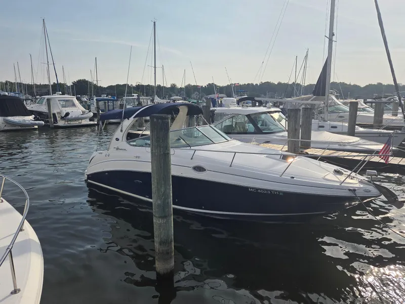 The Image of 2004 Sea Ray 280 Sundancer docked in a marina, surrounded by other boats. - 0