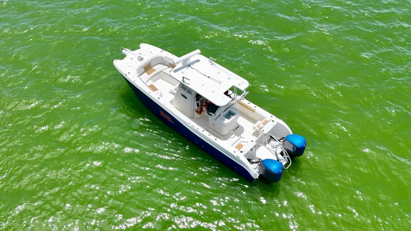 Slide: The Image of 2014 World Cat 295 CC boat on vibrant green water, aerial view. - 8