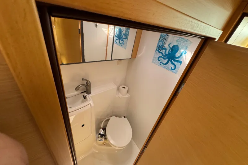 Slide: The Image of Compact bathroom in a 2008 Lagoon 420 yacht, featuring a toilet and octopus artwork. - 16