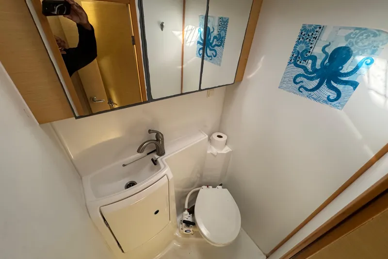 Slide: The Image of Bathroom interior of 2008 Lagoon 420 yacht with octopus wall art. - 17