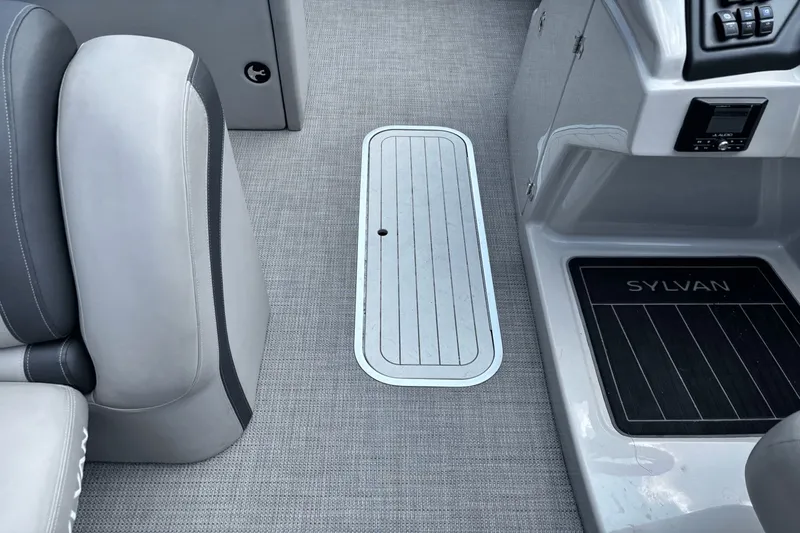 Slide: The Image of Sylvan DLZBAR 2022 - 8