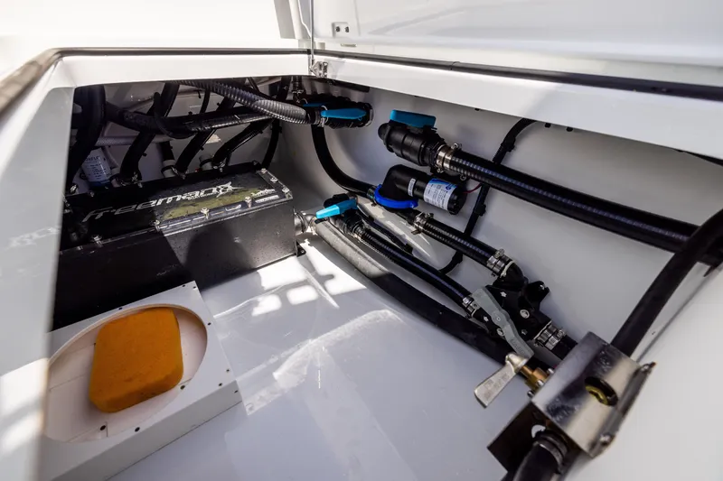 Slide: The Image of Freeman 35 2026 - 81