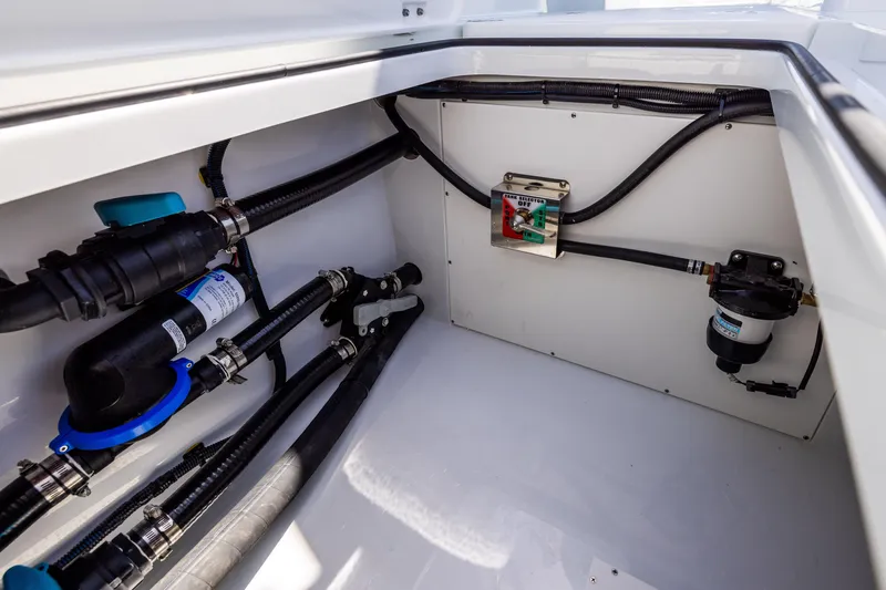 Slide: The Image of Freeman 35 2026 - 82